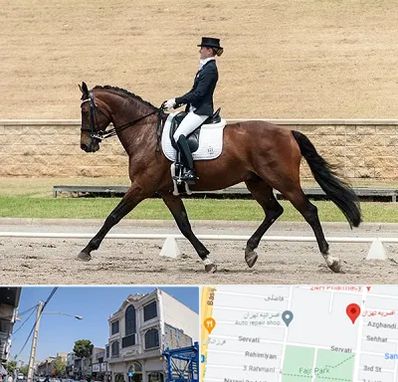 باشگاه سوارکاری بانوان در افسریه 