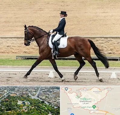 باشگاه سوارکاری بانوان در شهرکرد