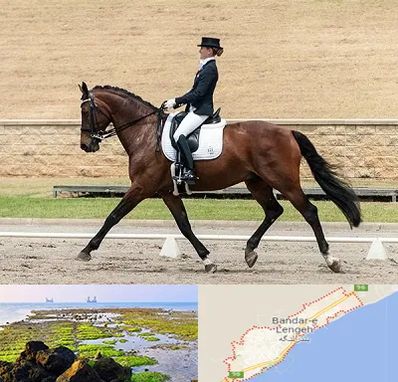 باشگاه سوارکاری بانوان در بندرلنگه