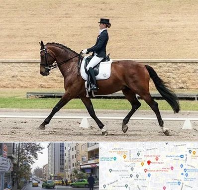 باشگاه سوارکاری بانوان در فاطمی 