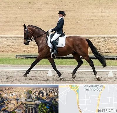 باشگاه سوارکاری بانوان در استاد معین 