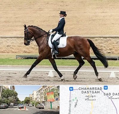 باشگاه سوارکاری بانوان در چهارصد دستگاه 