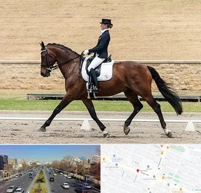 باشگاه سوارکاری بانوان در بلوار معلم مشهد