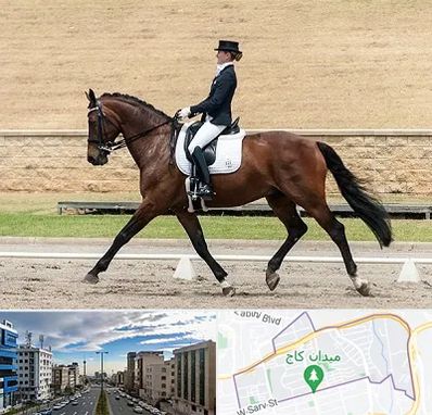 باشگاه سوارکاری بانوان در سعادت آباد 