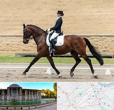 باشگاه سوارکاری بانوان در عفیف آباد شیراز