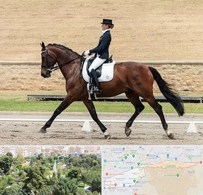 باشگاه سوارکاری بانوان در منطقه 13 تهران 