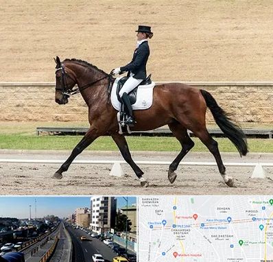 باشگاه سوارکاری بانوان در پیروزی 