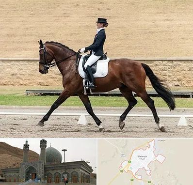 باشگاه سوارکاری بانوان در شهرضا