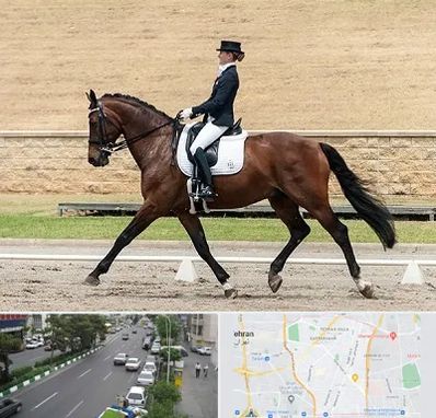 باشگاه سوارکاری بانوان در ستارخان 