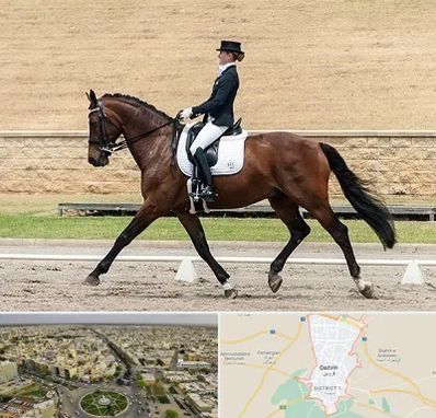 باشگاه سوارکاری بانوان در قزوین