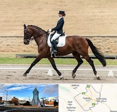 باشگاه سوارکاری بانوان در تایباد