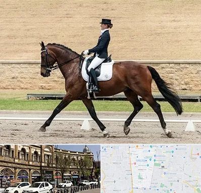 باشگاه سوارکاری بانوان در منطقه 11 تهران 