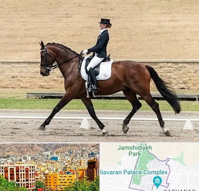 باشگاه سوارکاری بانوان در نیاوران 