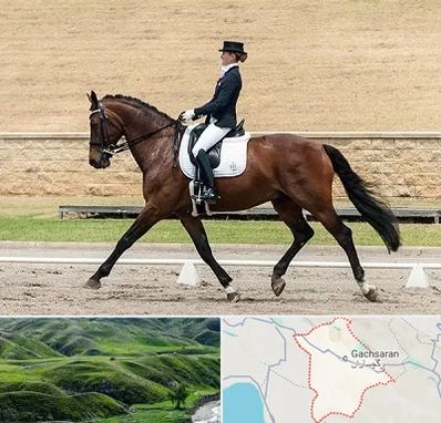 باشگاه سوارکاری بانوان در گچساران