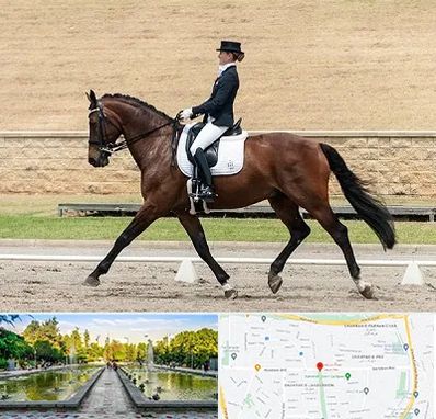 باشگاه سوارکاری بانوان در سرسبز 