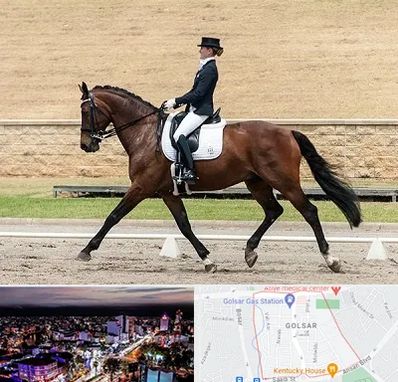 باشگاه سوارکاری بانوان در گلسار رشت 