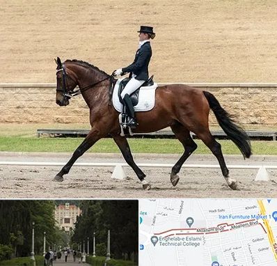 باشگاه سوارکاری بانوان در بلوار معلم رشت 