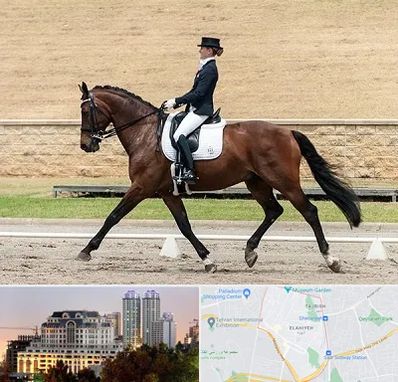 باشگاه سوارکاری بانوان در فرشته 