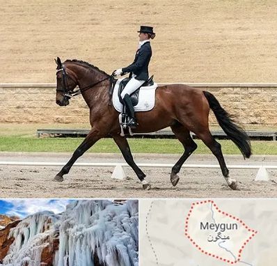 باشگاه سوارکاری بانوان در میگون