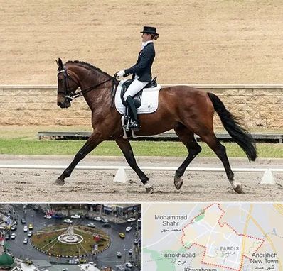 باشگاه سوارکاری بانوان در فردیس کرج 