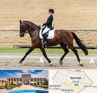 باشگاه سوارکاری بانوان در کرمان