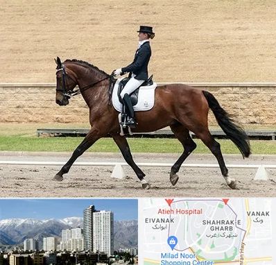 باشگاه سوارکاری بانوان در شهرک غرب 