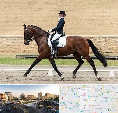 باشگاه سوارکاری بانوان در منطقه 7 تهران 