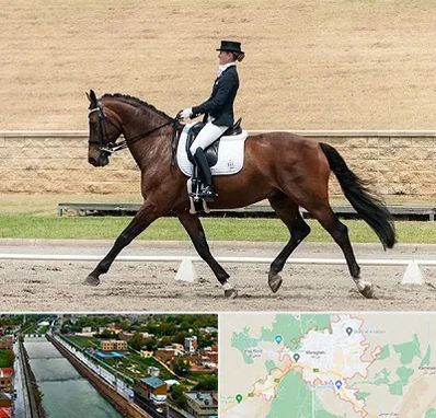 باشگاه سوارکاری بانوان در مراغه