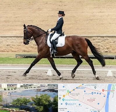 باشگاه سوارکاری بانوان در گلستان اهواز