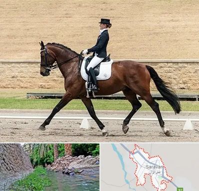 باشگاه سوارکاری بانوان در سراوان