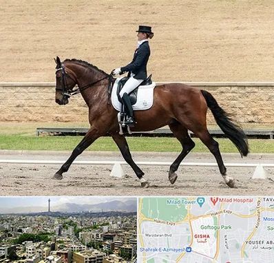 باشگاه سوارکاری بانوان در گیشا 