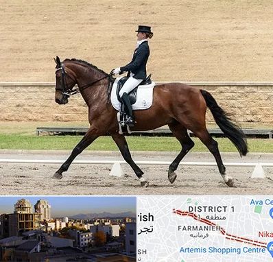 باشگاه سوارکاری بانوان در فرمانیه 