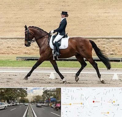 باشگاه سوارکاری بانوان در دولت