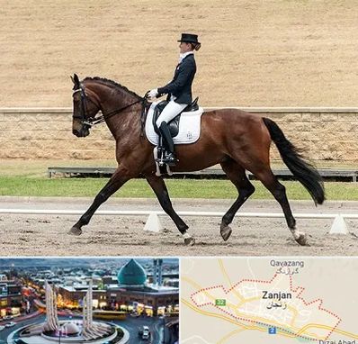 باشگاه سوارکاری بانوان در زنجان