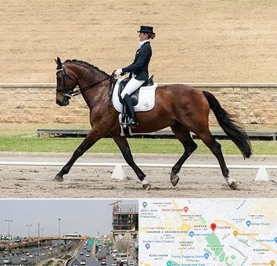 باشگاه سوارکاری بانوان در بلوار توس مشهد