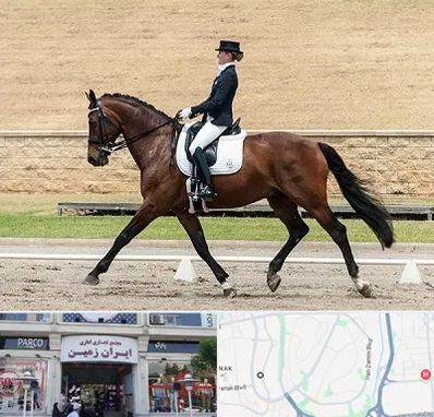 باشگاه سوارکاری بانوان در ایران زمین