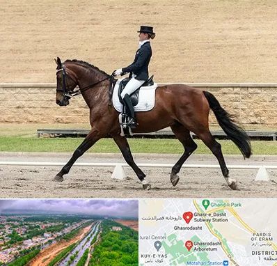 باشگاه سوارکاری بانوان در قصرالدشت شیراز