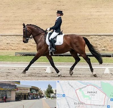 باشگاه سوارکاری بانوان در پرواز تبریز