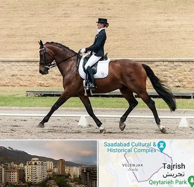 باشگاه سوارکاری بانوان در زعفرانیه 