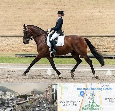 باشگاه سوارکاری بانوان در پونک 