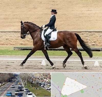 باشگاه سوارکاری بانوان در احمدآباد مشهد