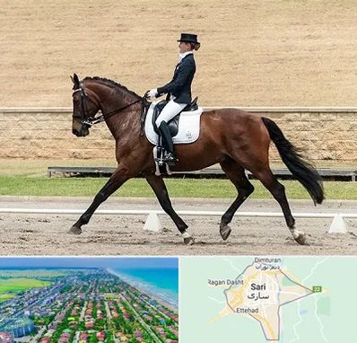 باشگاه سوارکاری بانوان در ساری