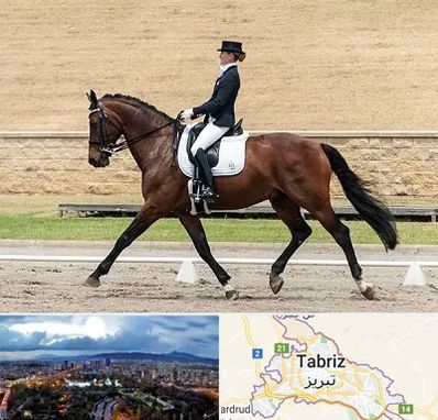 باشگاه سوارکاری بانوان در تبریز