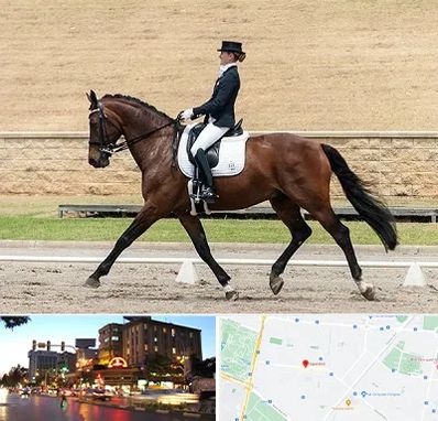 باشگاه سوارکاری بانوان در بلوار سجاد مشهد