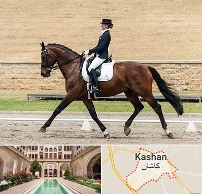 باشگاه سوارکاری بانوان در کاشان