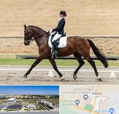 باشگاه سوارکاری بانوان در ملارد