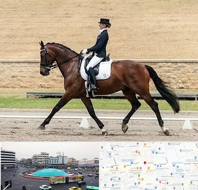 باشگاه سوارکاری بانوان در میدان انقلاب 