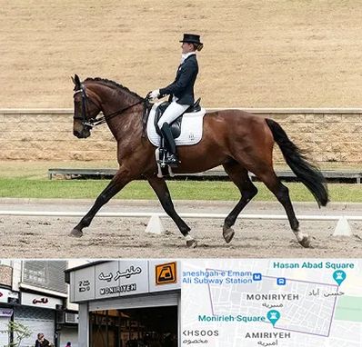 باشگاه سوارکاری بانوان در منیریه 