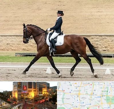 باشگاه سوارکاری بانوان در جنت آباد تهران 