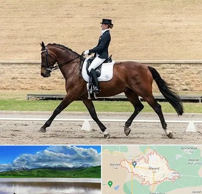 باشگاه سوارکاری بانوان در مرند